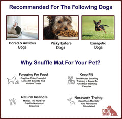 NEECONG Dog Snuffle-Mat Slow-Feeder-Bowl - Simulating Grassland for  Boredom, Encourages Natural Foraging Skills for Pet, Treat Indoor Outdoor  Stress